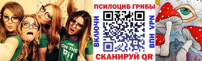 Галлюциногенные грибы GOLDEN TEACHER  Купить закладки  Каменск-Уральский 